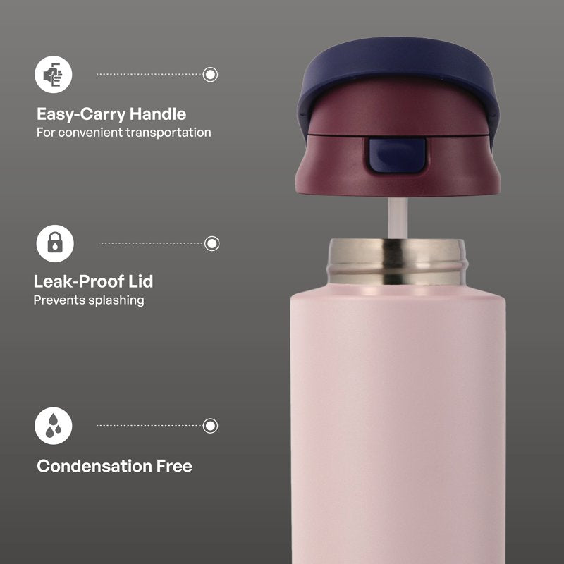 24oz Stainless Steel 2-in-1 Straw & Chug Water Bottle - Mauve
