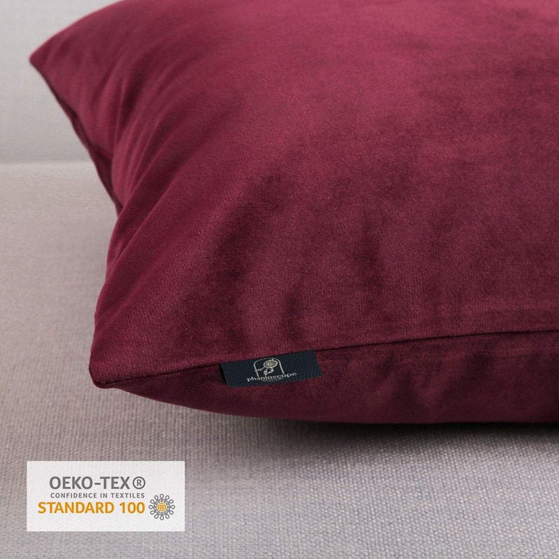 20 x 20 Inch Dark Red Velvet Decorative Throw Pillow Set of 2