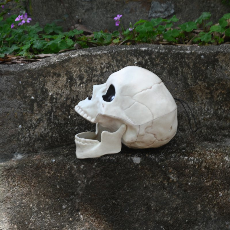 Halloween Skeleton Skull Decor with Sound & Light - 5.8 Inch, Indoor Outdoor