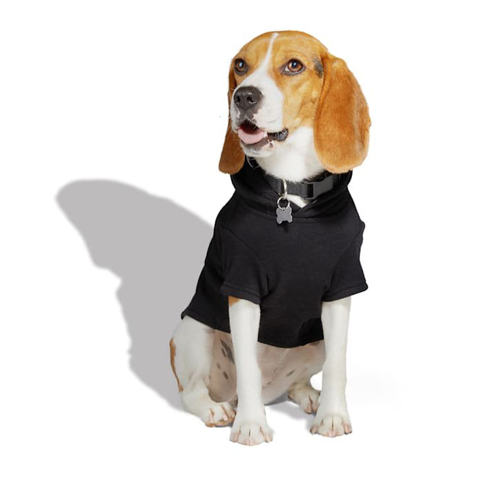 Petco Skeleton Pet Hoodie Medium - Halloween Pet Costume, Cozy Fleece Lining, Easy Pull-On