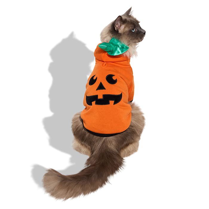 Petco Pumpkin Pet Hoodie Small - Halloween Costume for Dogs & Cats, Cozy Fleece