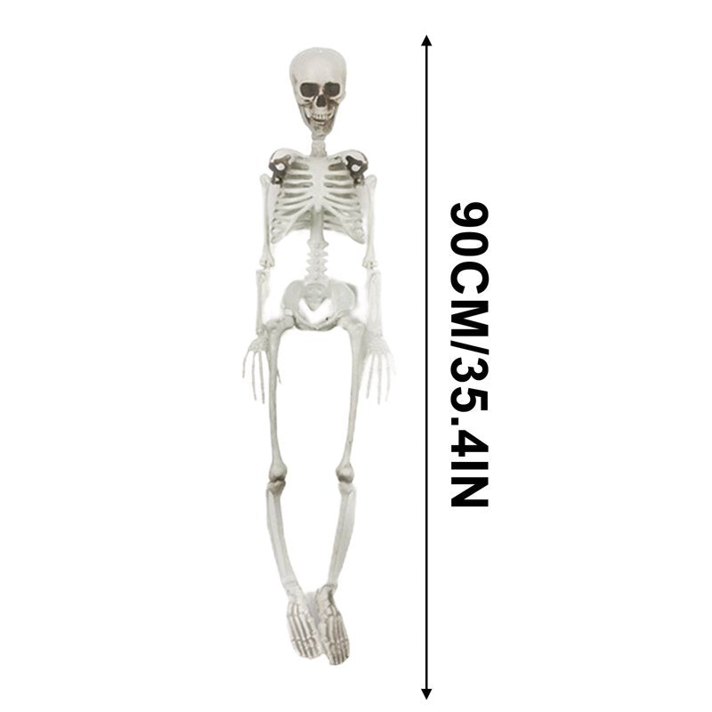 Life Size Halloween Skeleton with Movable Joints - Realistic Full Body Prop