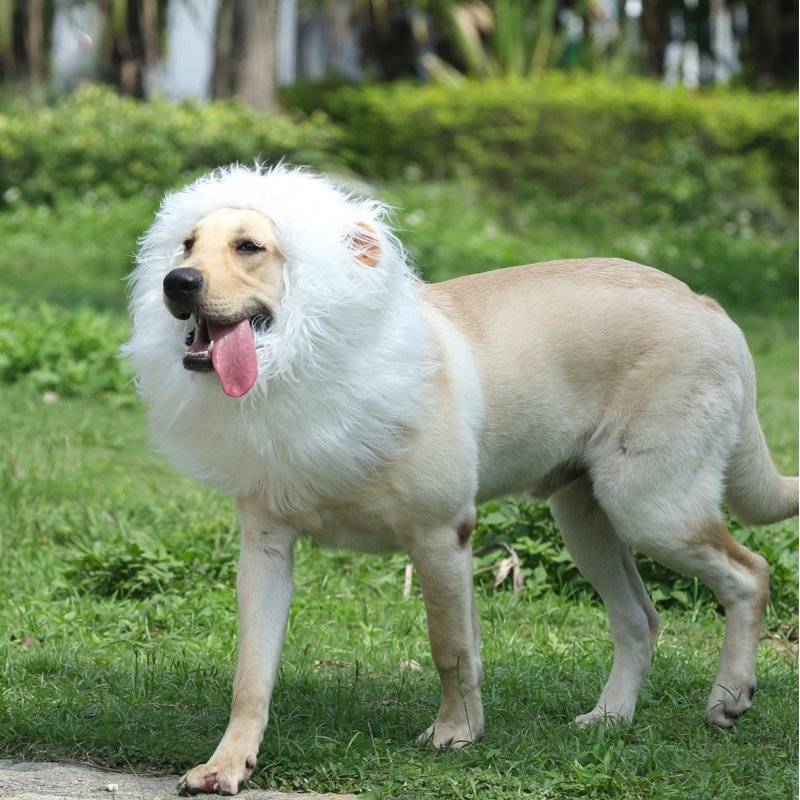 Lion Mane Wig for Dogs - Funny Pet Costume for Medium to Large Dogs - White, Size M
