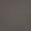 Neutral Gray Acrylic Paint 120ml for Artists & Crafts - Versatile & High Pigment