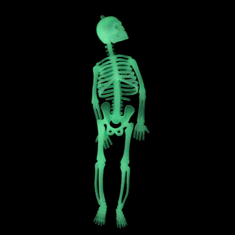 Luminous Skeleton Halloween Prop Full Body Bones with Movable Joints - Indoor Outdoor Decor