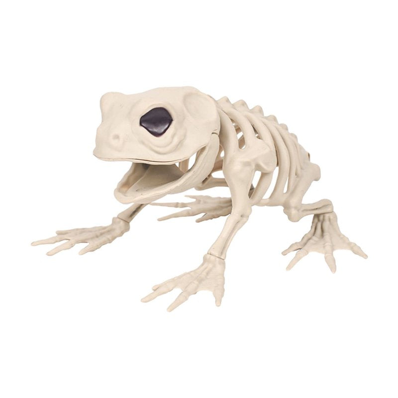Frog Skeleton Decoration - Realistic Animal Bone Model for Halloween & Education, 5.1 Inch White Plastic