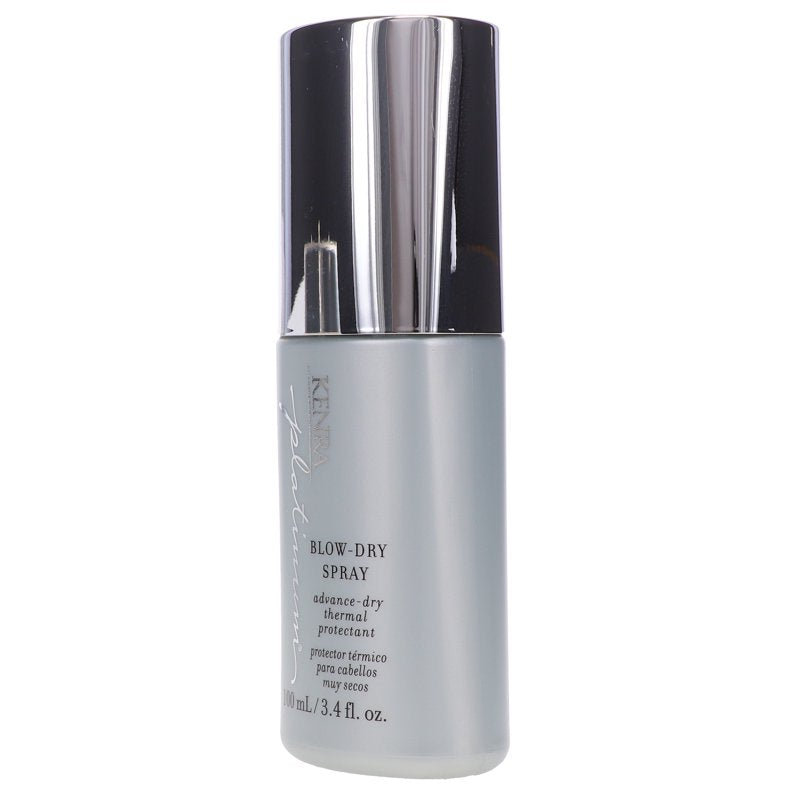 Blow-Dry Spray Heat Protection for Smooth, Frizz-Free Hair - 3.4 fl oz