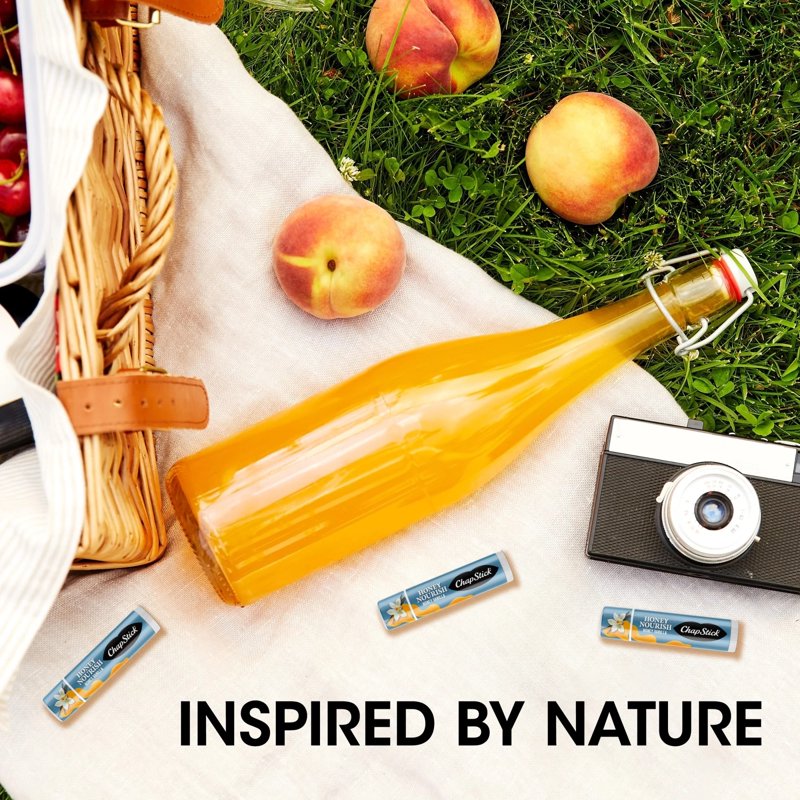 Moisturizing Honey Flavored Lip Balm Collection - Assorted Scents