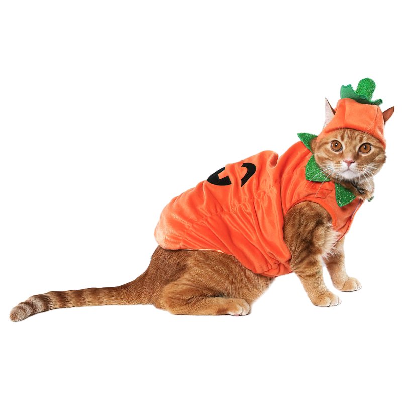 Pet Halloween Jack-O-Lantern Costume with Hat - Small