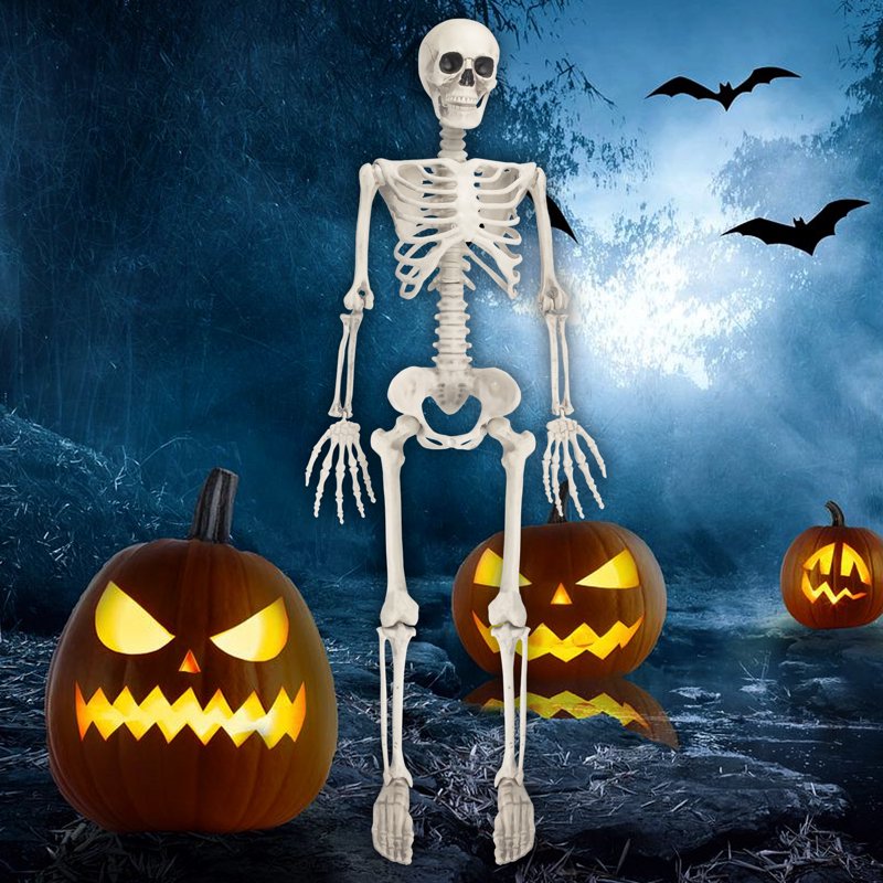 Halloween Skeleton Decoration, 38 Inch Full Body Plastic Skeleton with Movable Joints for Haunted House & Yard Decor