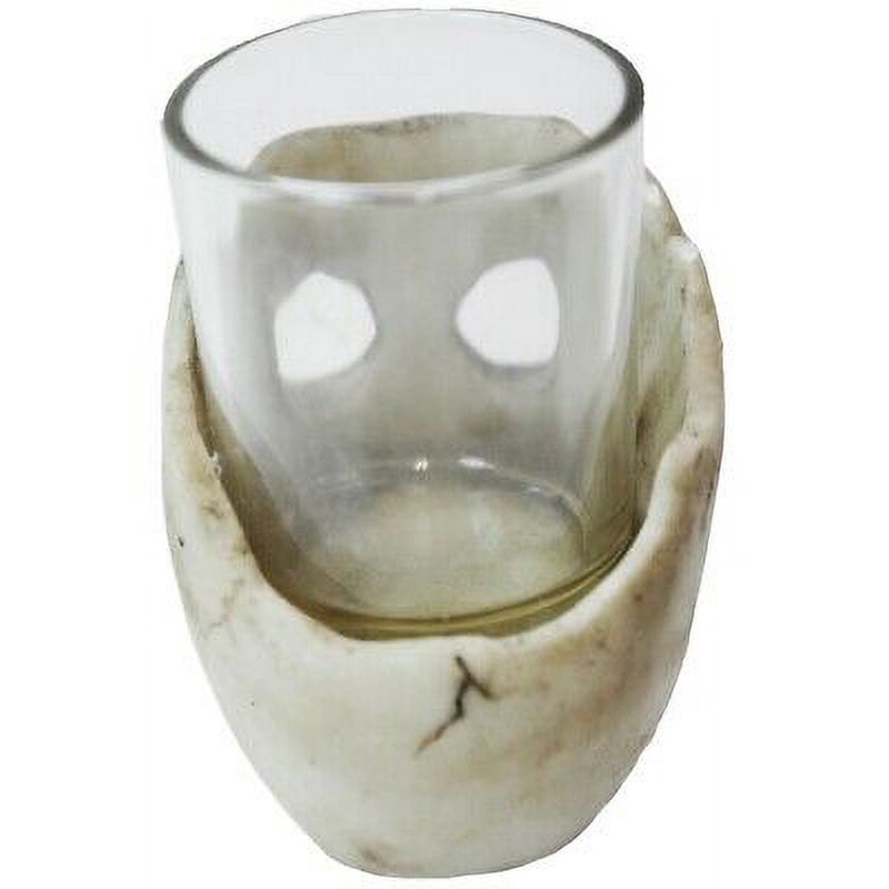 Skull Shot Glass - 3.5 Inch Skeleton Face Drinkware