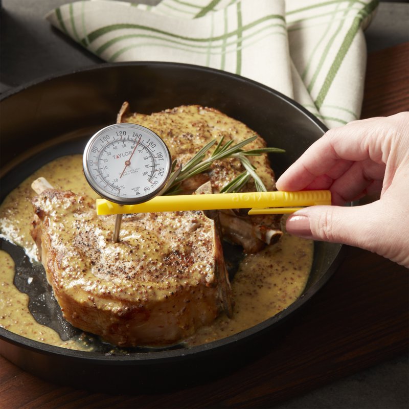 Extra Large Instant Read Dial Meat Thermometer - 1.75 Inch