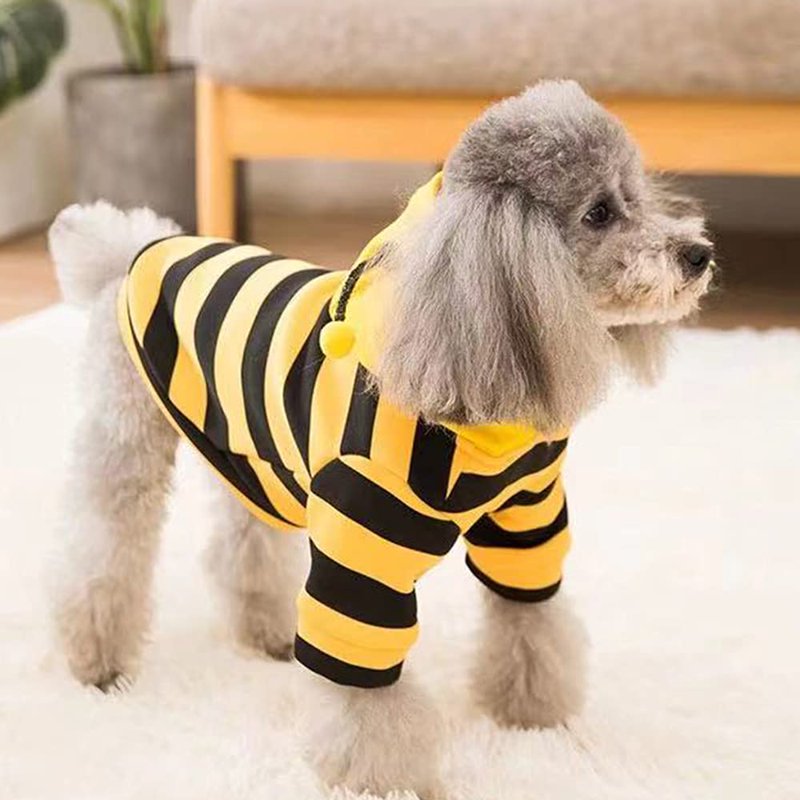 Pet Bee Halloween Costume XL for Cats and Small to Medium Dogs – Cosplay Dress Up
