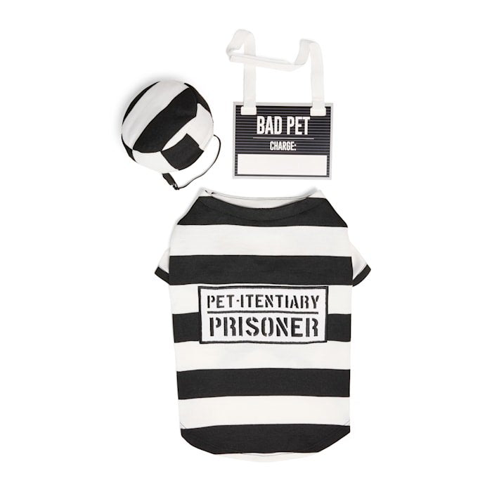 Large Prisoner Pet Halloween Costume with Accessories - Variation L
