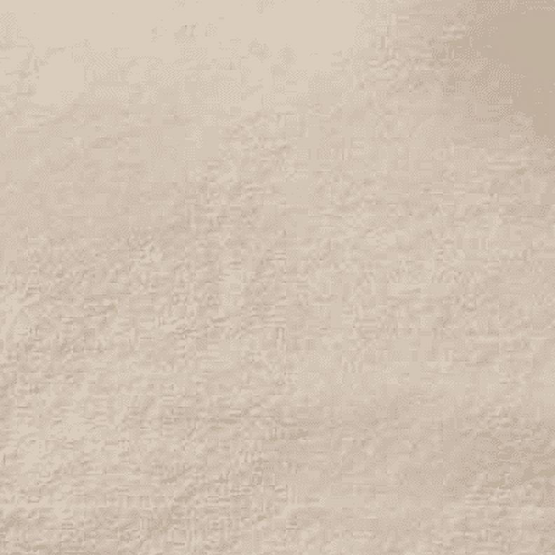 Full/Queen Velvet Plush Blanket - Tan, Reversible, 90x92 Inches, Adult & Teen
