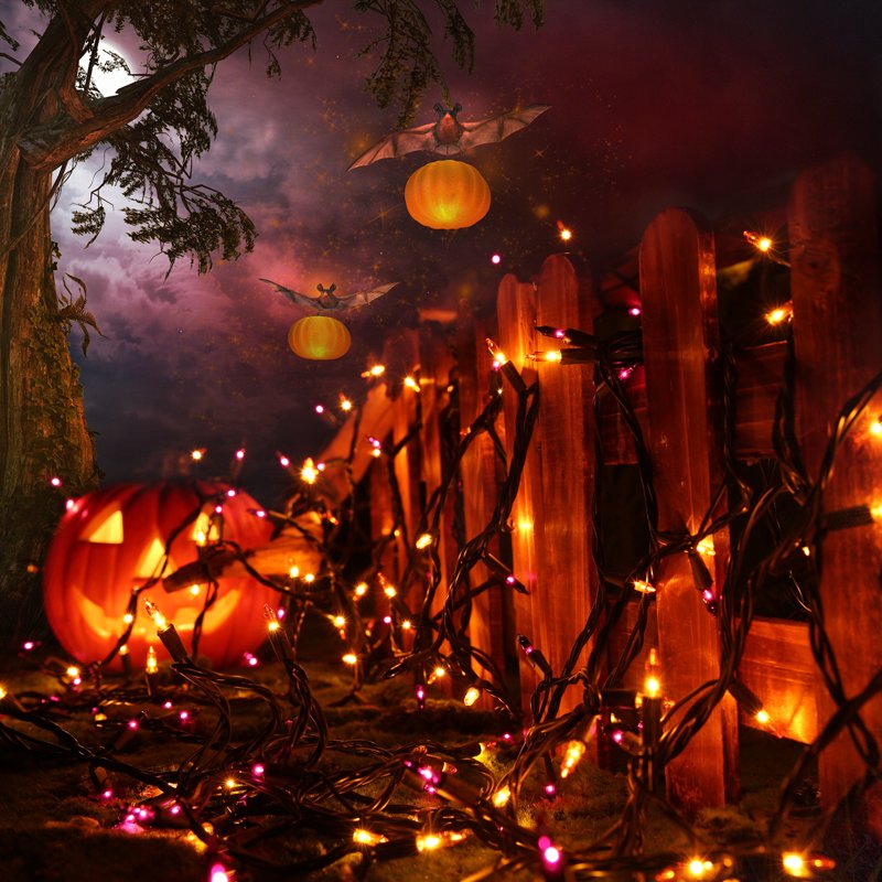 Halloween String Lights 25ft Purple & Orange Connectable Mini Bulb Lights for Indoor Outdoor Decor