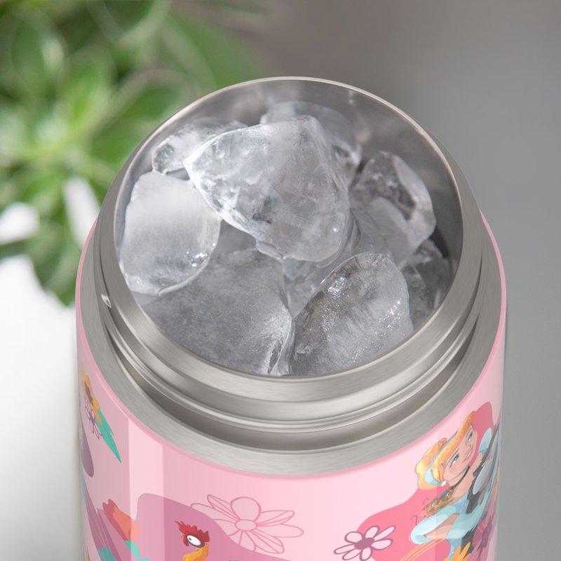 Insulated Stainless Steel Water Bottle with Straw - Pink Princess, 14oz