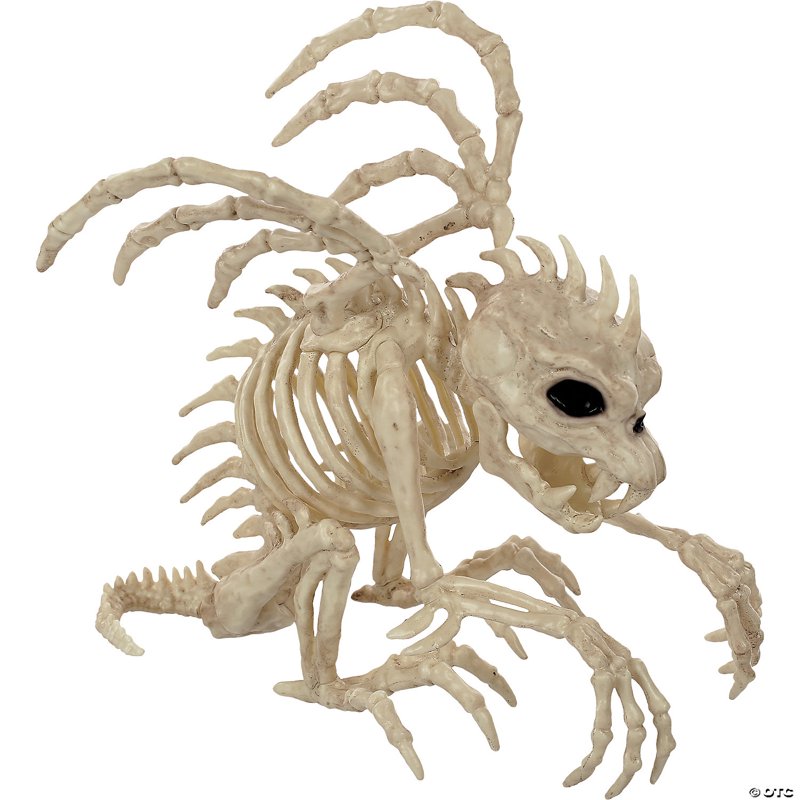 10 Inch Halloween Gargoyle Skeleton Prop for Spooky Decor