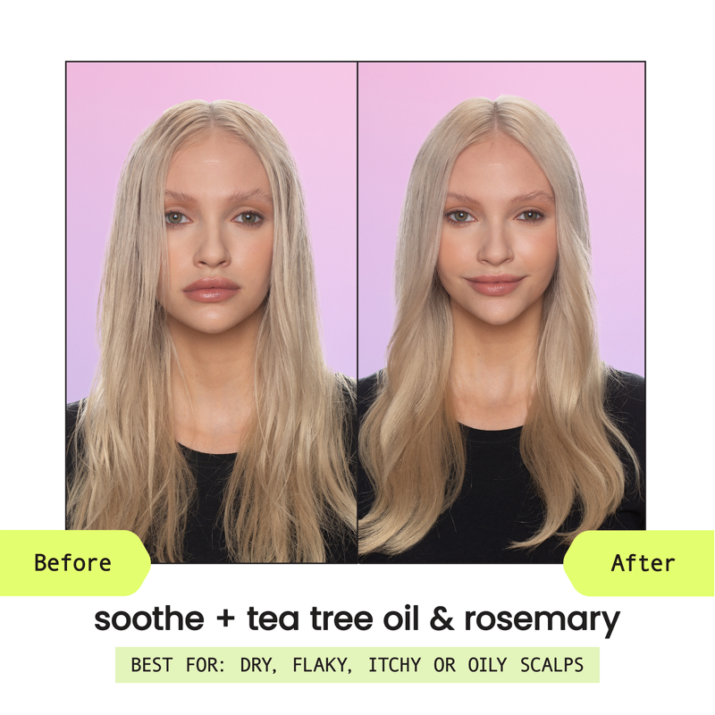 Tea Tree Oil Scalp Care Shampoo - Refreshing & Soothing Hair Treatment
