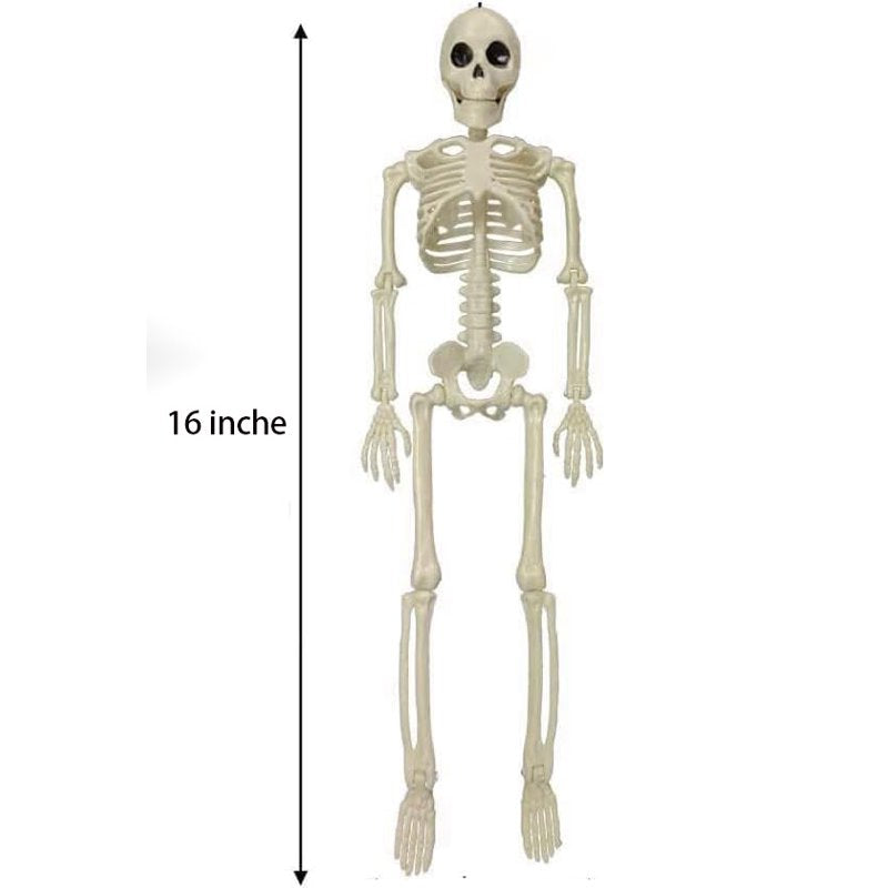 2-Pack Realistic Movable Halloween Skeleton Decorations 16 Inches