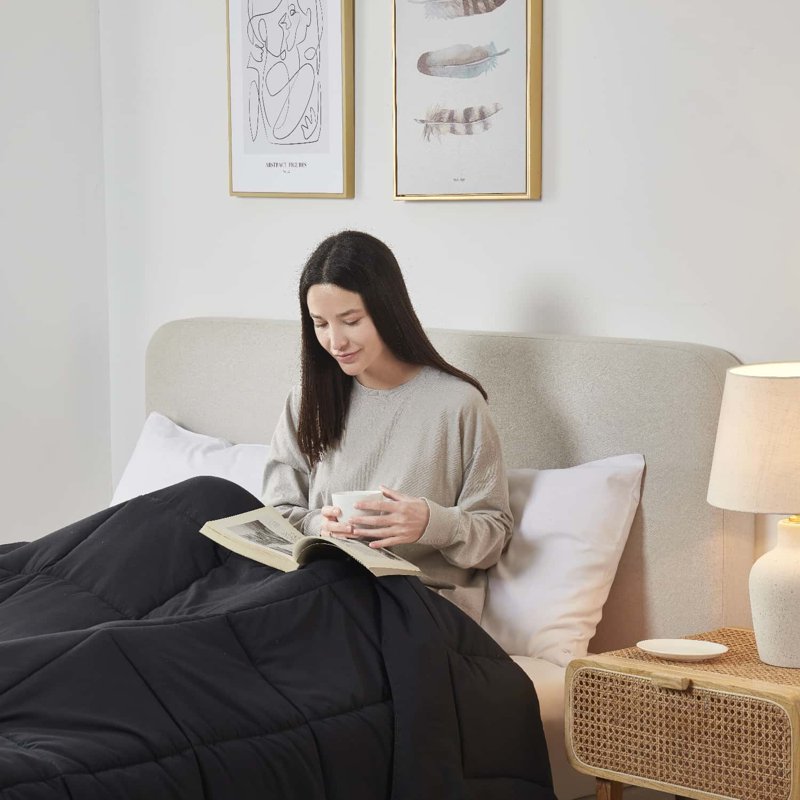 Queen Comforter Set - Quilted Down Alternative All-Season Duvet with Corner Tabs - Black