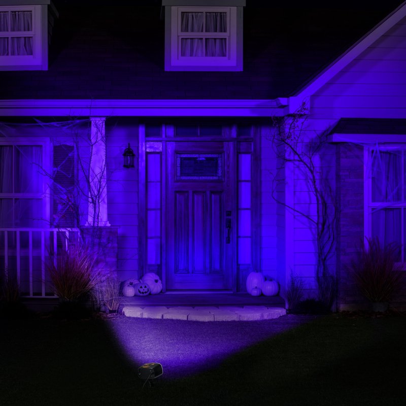 LED Flood Light with 2-Way Switch for Halloween Holiday Decor Black