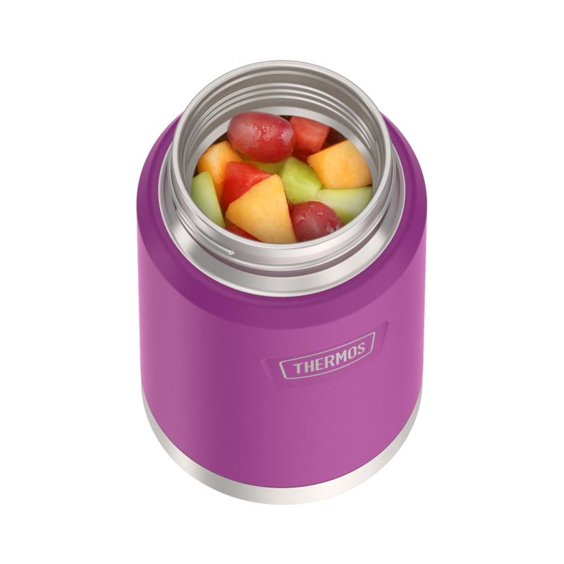 24oz Stainless Steel Insulated Food Jar with Spoon - Plum