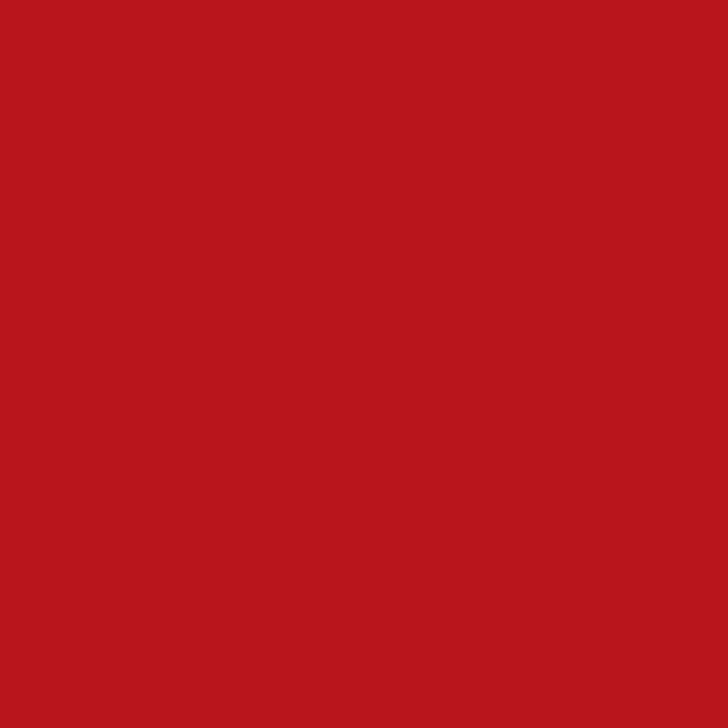 Poppy 2 Pack Cotton Sewing Fabric 1 Yard - Lightweight Craft Material