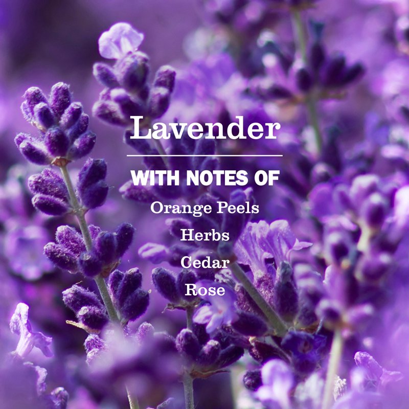 Lavender Liquid Hand Soap Refill, Moisturizing Plant-Based Formula, 33 Fl Oz