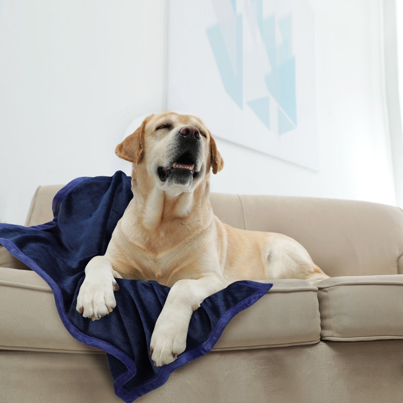 Navy Blue Flannel Fleece Blanket 30x40 Inches Soft & Warm