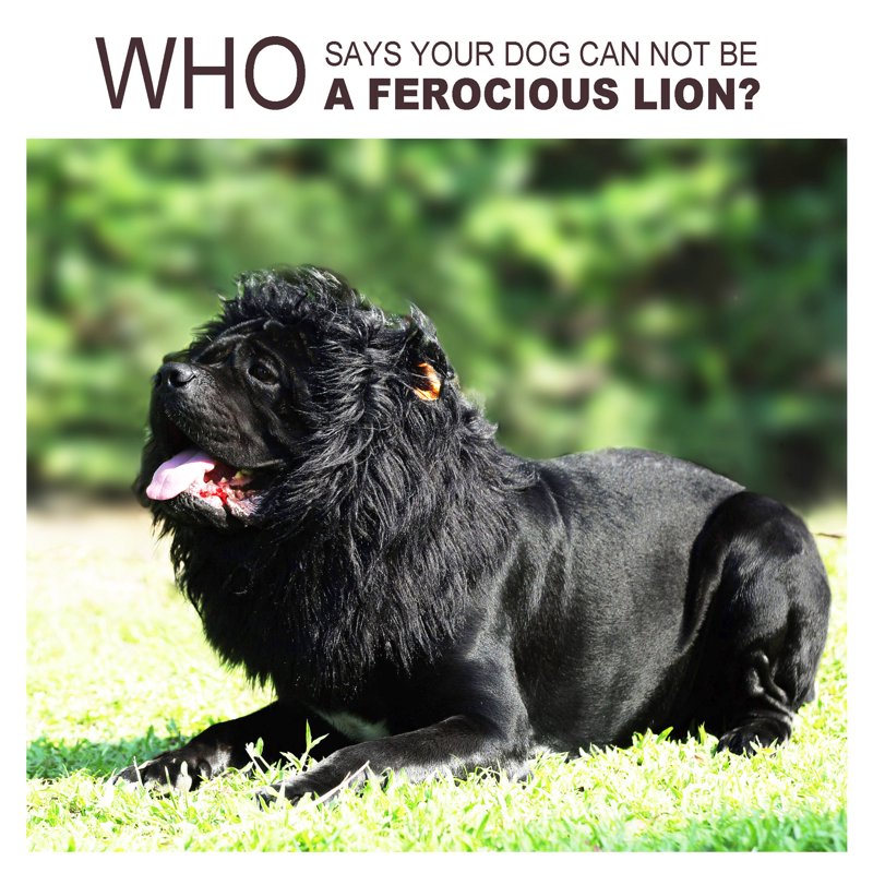 Lion Mane Wig for Dogs - Large Black Pet Costume Accessory, Halloween Fancy Dress (Variation: Black, L)