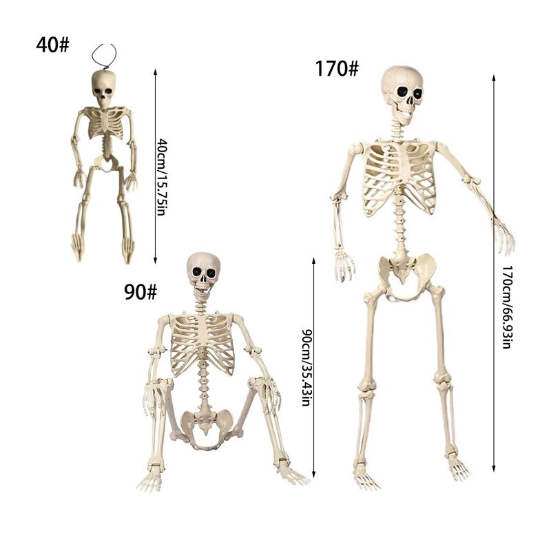 Life-Size Poseable Halloween Skeleton with Flexible Joints - L Variation Indoor/Outdoor Decor
