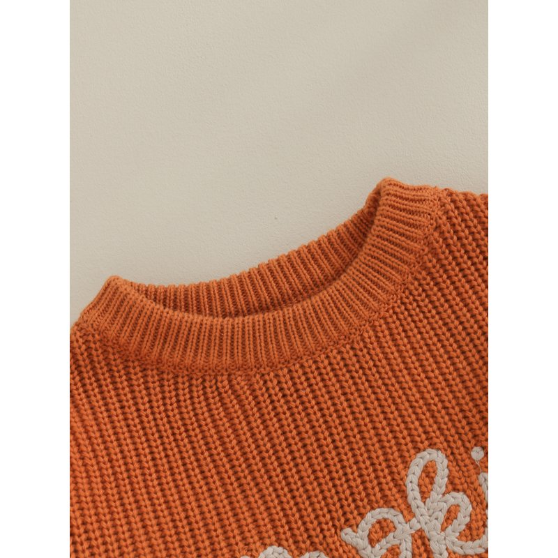 Toddler Baby Girl Boy Knit Sweater - Style 1, 6-9 Months, Long Sleeve Embroidered Pullover for Autumn Winter