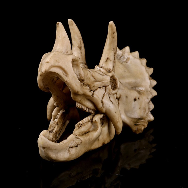 Dinosaur Skull Resin Model - Triceratops Fossil Skeleton Collectible Decor