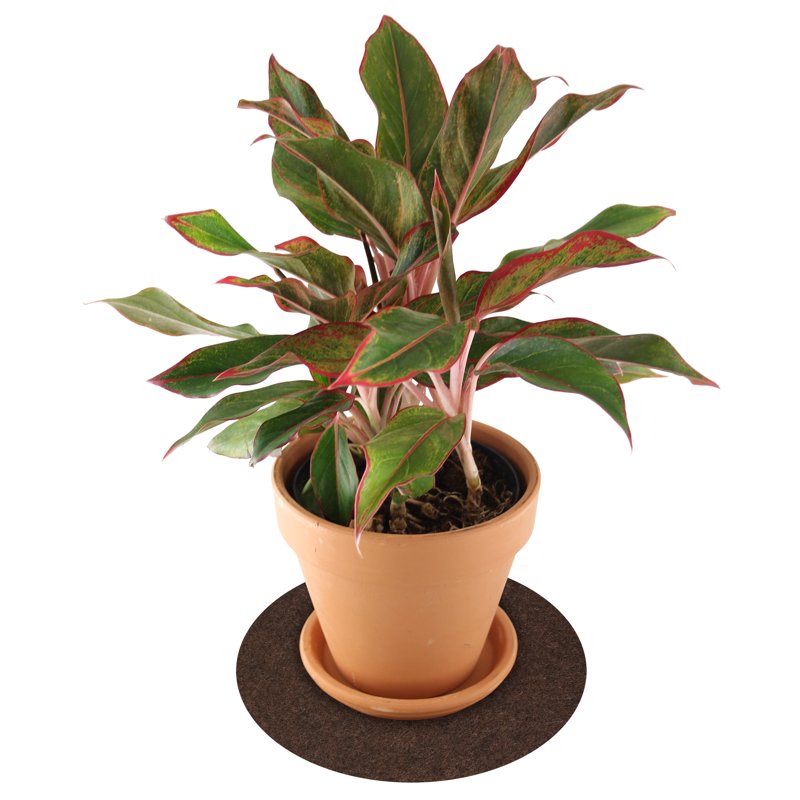 Plant Coaster Mats - 3 Pack Reversible Surface Protectors, Charcoal/Brown, 6”, 8”, 10”