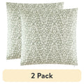 Sage Green Burned Blooms Decorative Pillow 20x20 Inch - 2 Pack