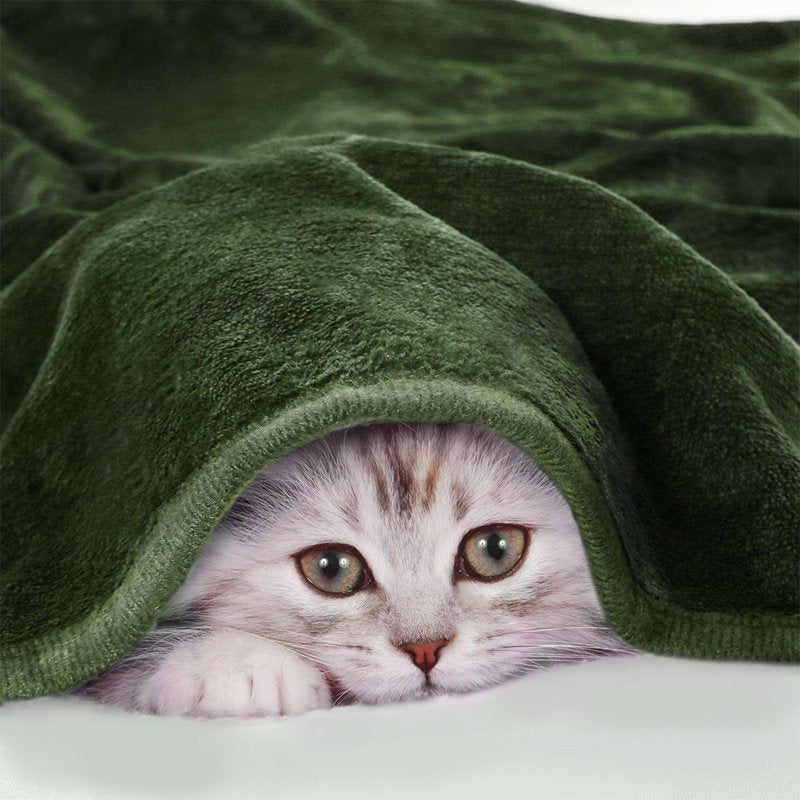 Twin XL Flannel Fleece Blanket - Soft Luxury Hemmed Olive Green
