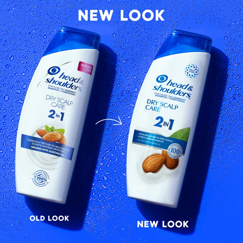 Dandruff Shampoo and Conditioner 2-in-1 - Dry Scalp Care, 8.45 oz