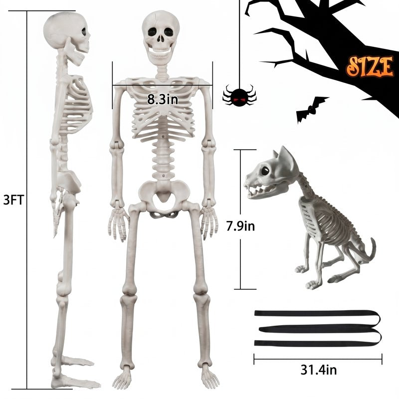 Halloween Human and Cat Skeleton Set - 90cm Posable Full Body Decor