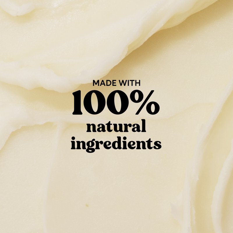 Natural Lip Balm Sticks - Fruity Flavored Moisturizing Shea Butter Set