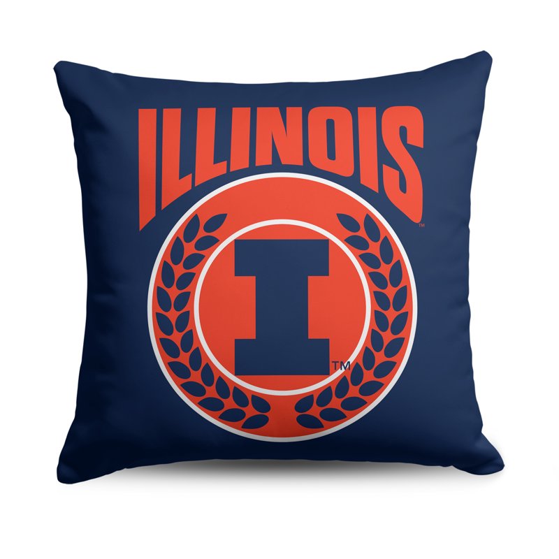 Illinois NCAA Cloud Pillow 24 Inch - Team Spirit Square Throw Pillow