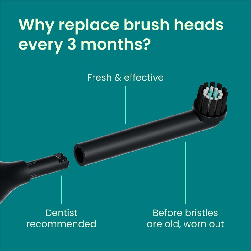 Oscillating Electric Toothbrush Replacement Heads, Adult Compact, 2 Pack
