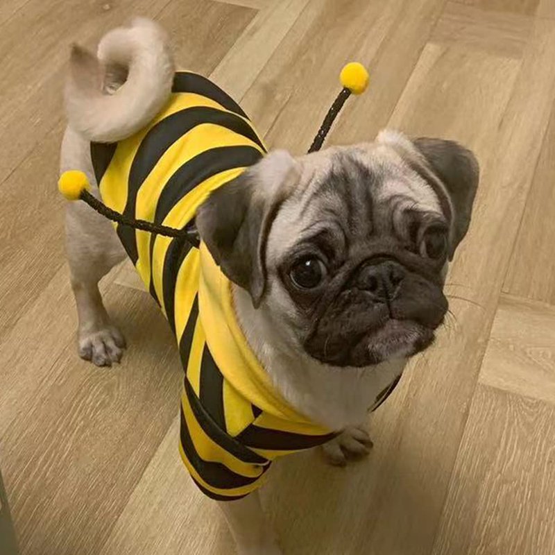 Pet Bee Halloween Costume XL for Cats and Small to Medium Dogs – Cosplay Dress Up
