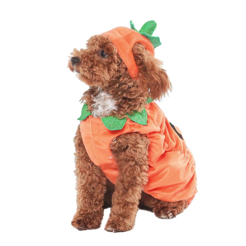 Pet Halloween Jack-O-Lantern Costume with Hat - Small