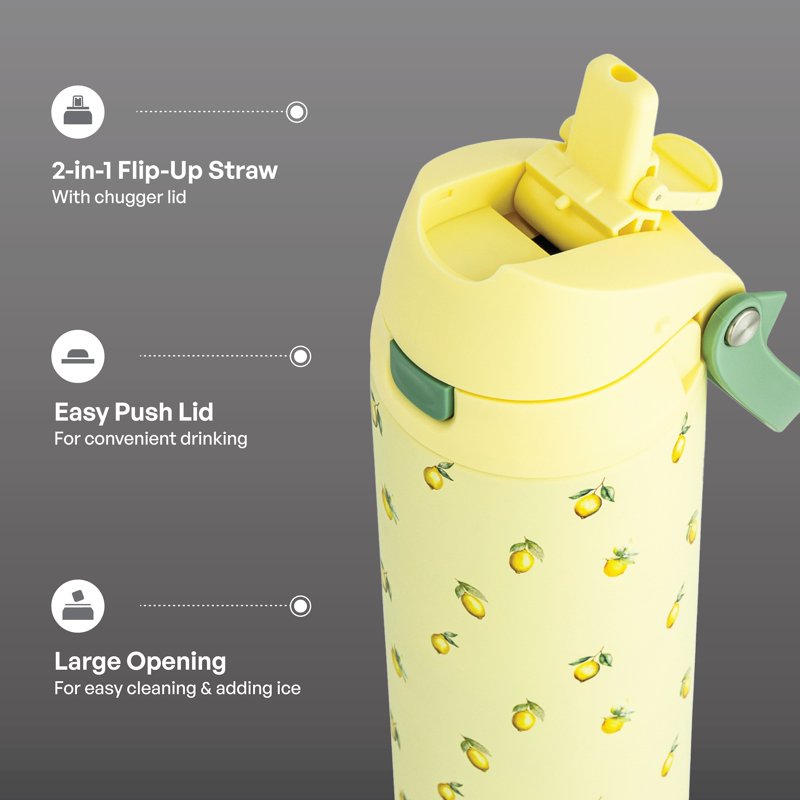 24oz Stainless Steel Insulated Water Bottle with Straw & Chug Lid - Lemon