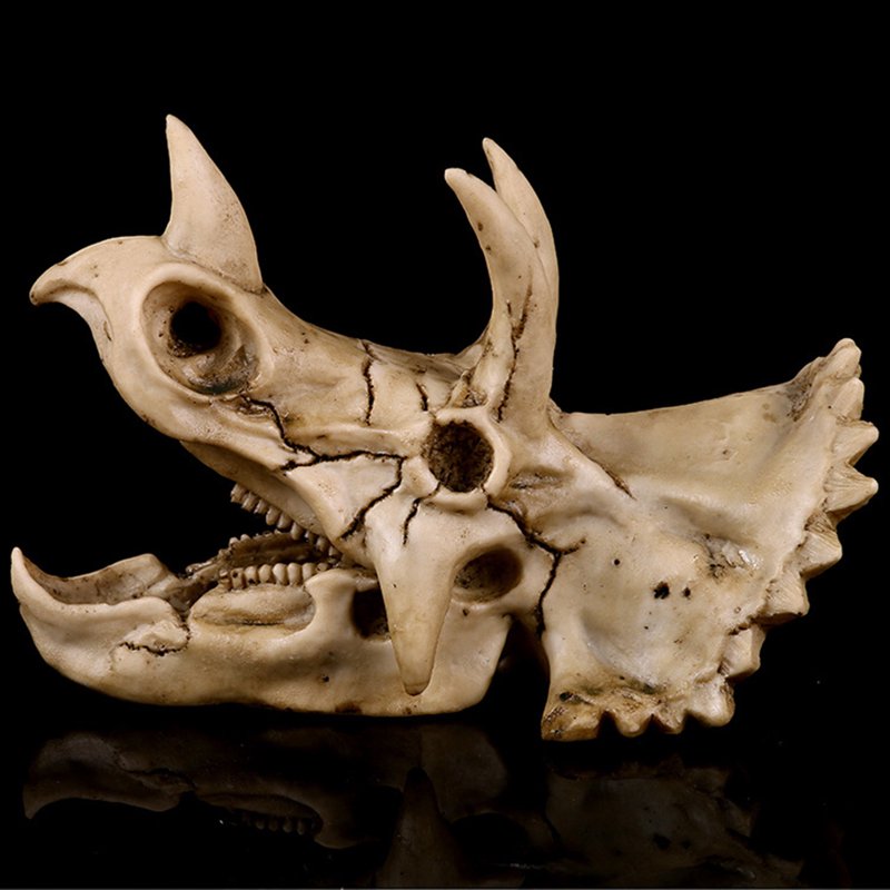 Dinosaur Skull Resin Model - Triceratops Fossil Skeleton Collectible Decor