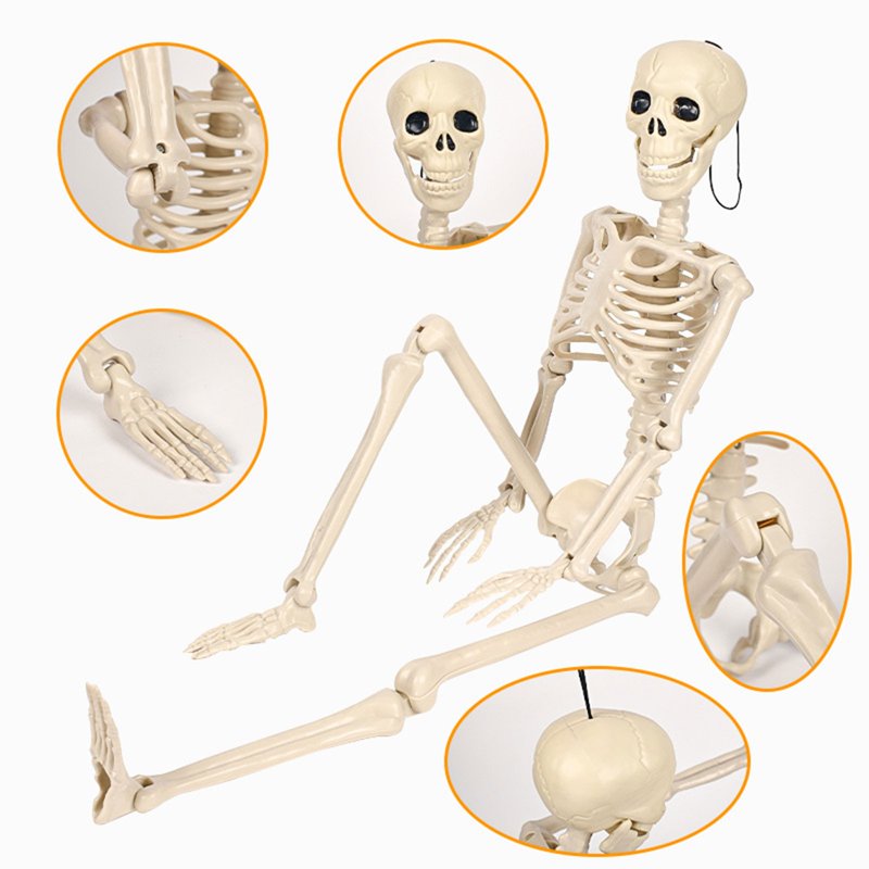 Poseable Plastic Skeleton Model - 35.43in Halloween Decor for Indoor & Outdoor Use