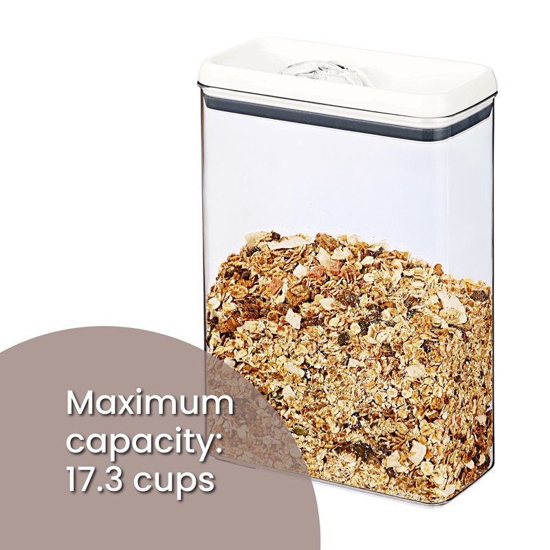 17.3 Cup Rectangular Food Storage Container - 2 Pack