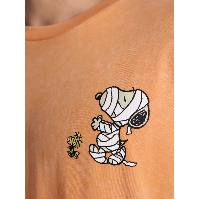 Halloween Snoopy Peanuts Graphic T-Shirt Men & Big Men Orange Wash 3XL
