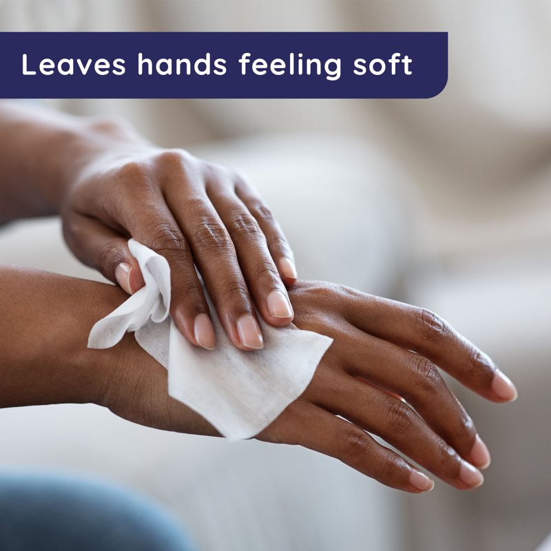 Sensitive Skin Hand Wipes - Fragrance Free, 240 Total Wipes